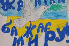 3Anowar26_05