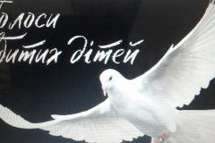 6Bdityzherviagresii_04