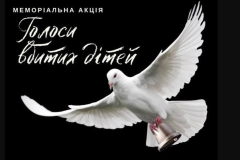 8Bdityzherviagresii_01