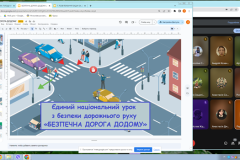 8Vdorozhnyrux25_04