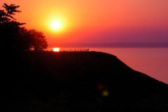 kraylelechiy25_01